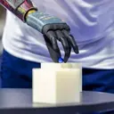 Cybathlon Competition for Neuroprosthetics and Brain Machine Interfaces 2024